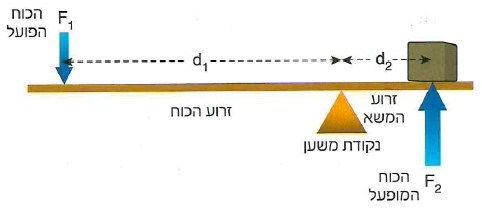 (בספר איור, היעזר במנחה)